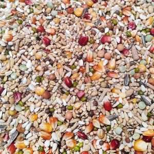 Moulting PRO REVOLUTION  br.55 20 kg+ 2kg PROMO