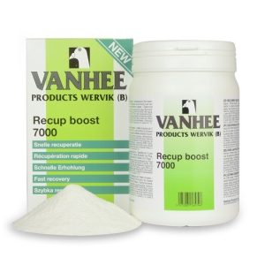 Recup Boost 7000 + vitamin A 500 g - AS Shop